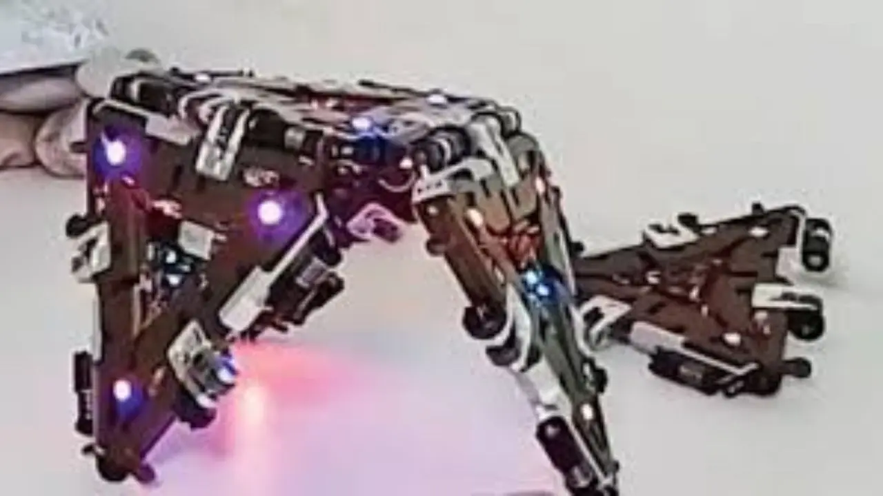 Representational Image. File Pic